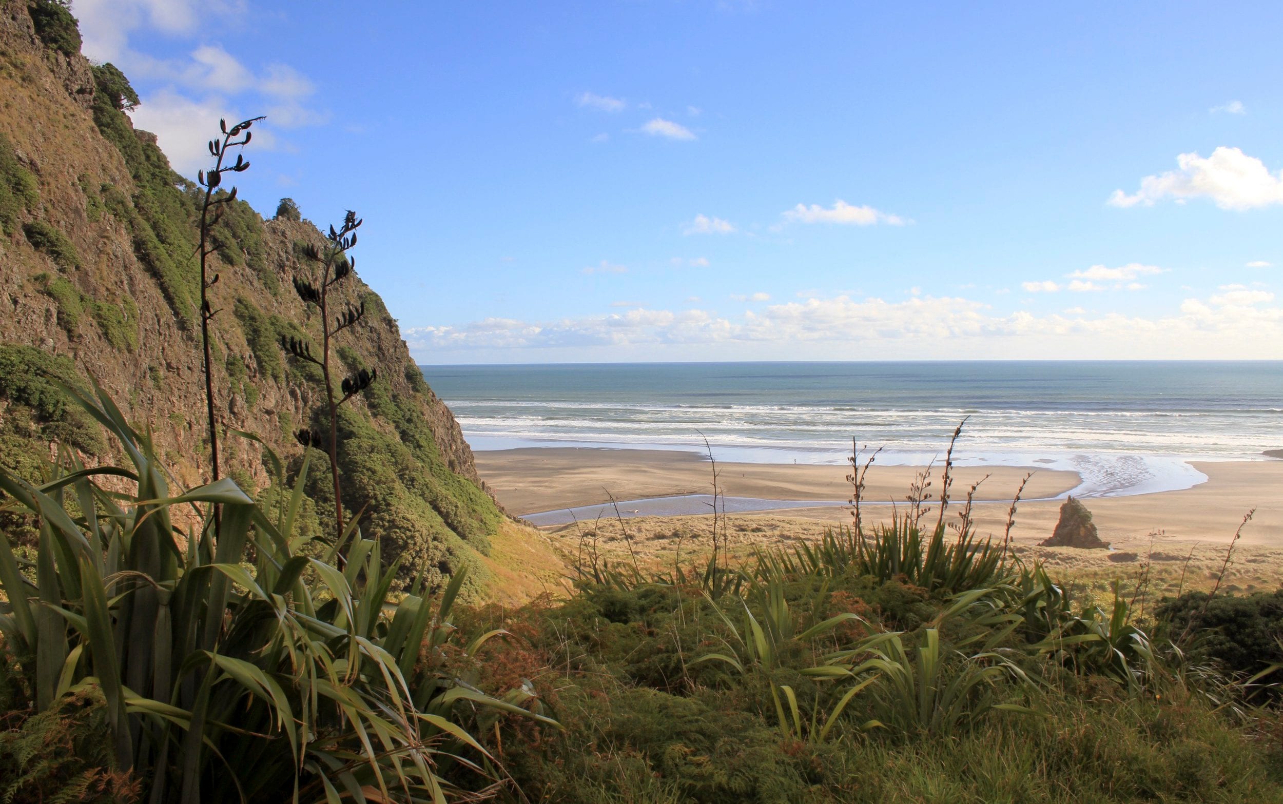 Karekare Beach in New Zealand