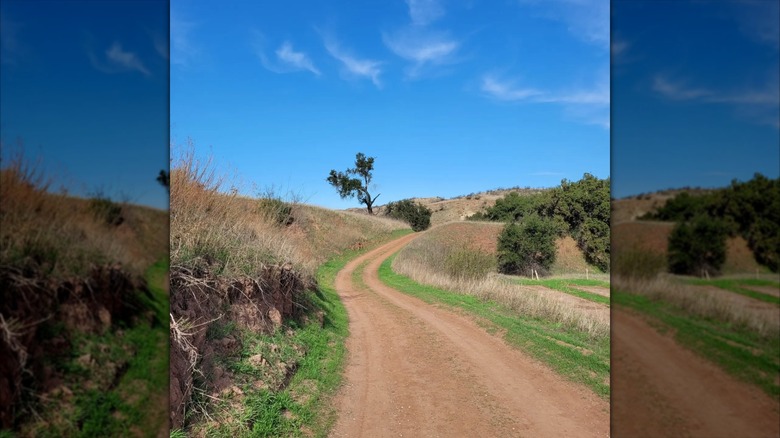 Orange County's 'Mini Grand Canyon' Hides Deep In SoCal With Ancient Red-Sandstone And Family-Friendly Trails
