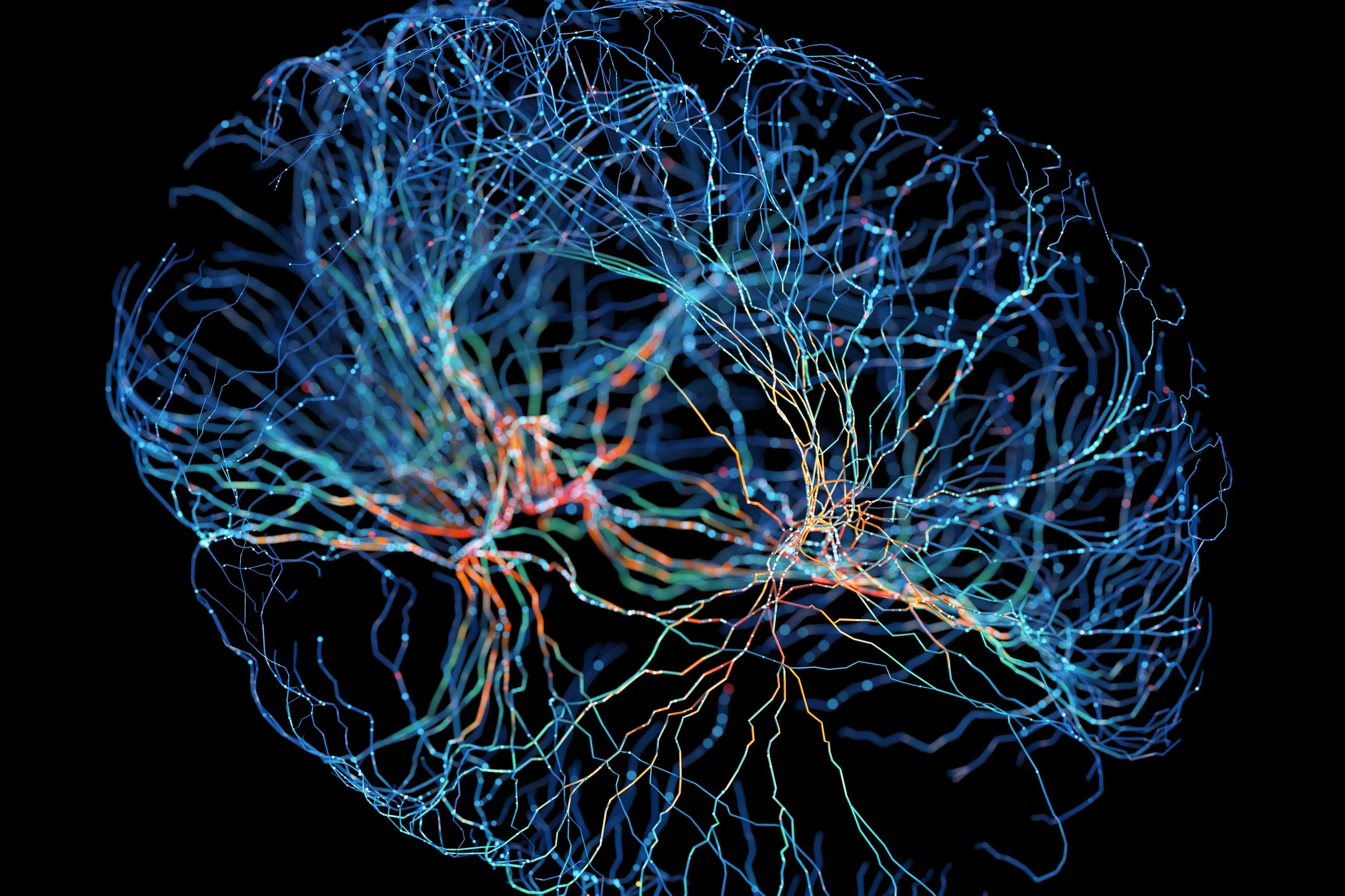 Want Better Focus? A New Johns Hopkins Study Says an Ancient Brain Circuit Might Be the Key