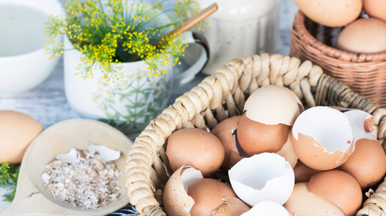 Not eggshells: There's an easier way to help your garden thrive with eggs