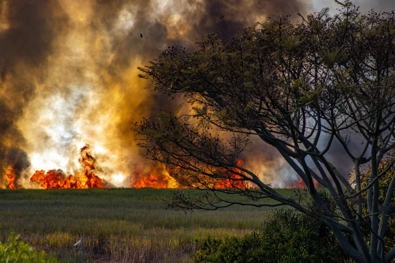 Africa's wildfire season is actually getting shorter, scientists think they know why
