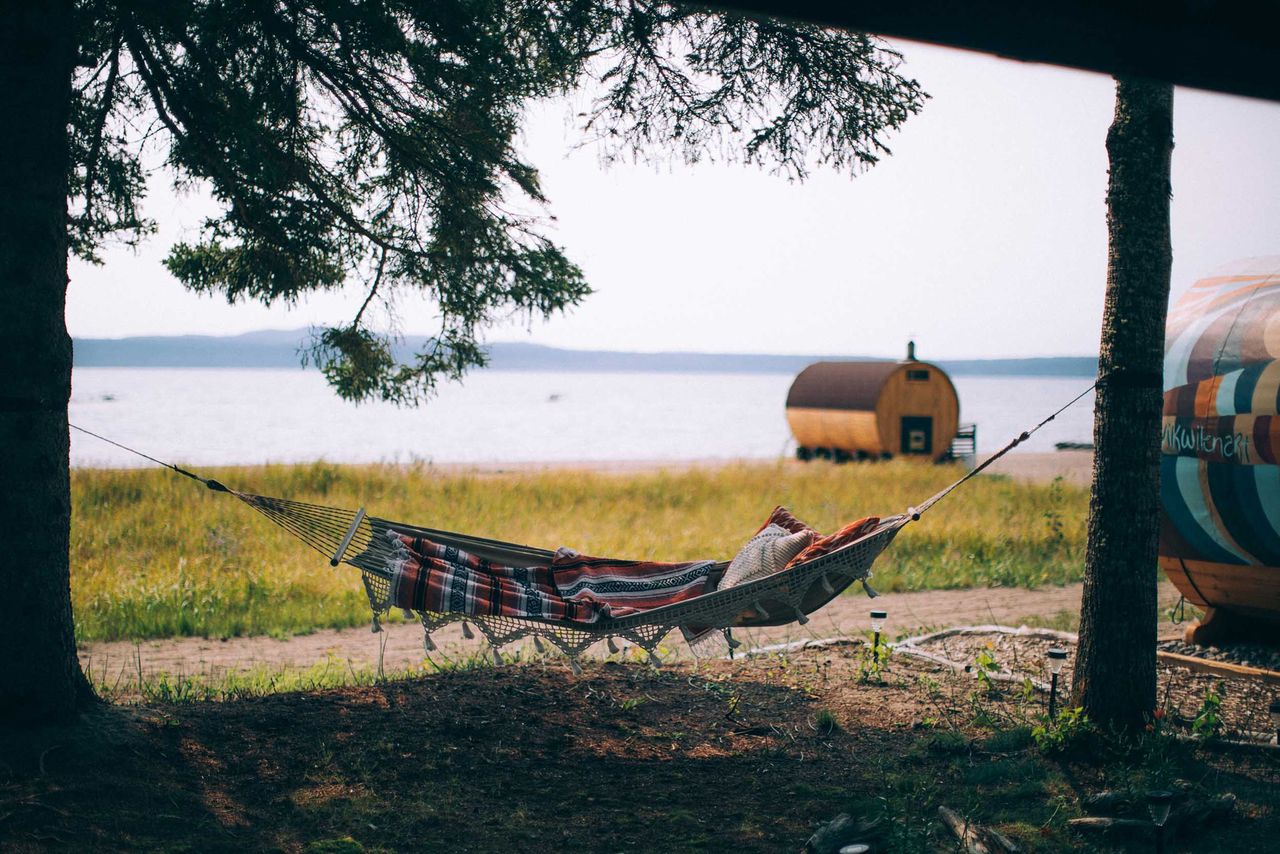 A hammock between trees near a lakeshore with a cylindrical cabin and grassy area in the background