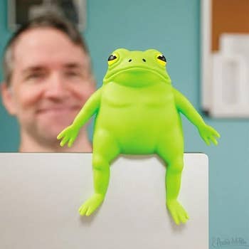 cartoon frog toy sits on laptop