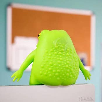 back of the frog