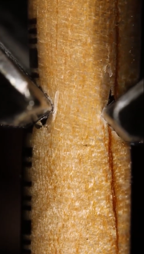 Satisfying wooden brush crack sounds in close-up ASMR