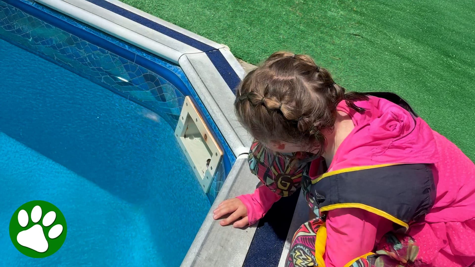 2-year-old girl rescues baby mouse from pool