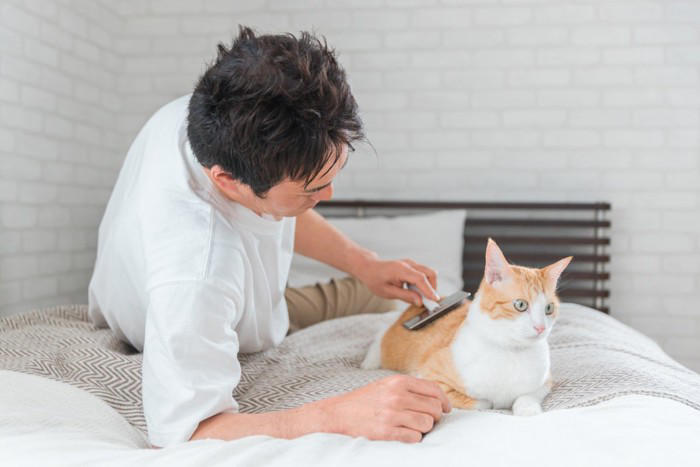猫の尻尾がベタベタする『スタッドテイル』ってなに？ 発症しているときの症状や予防法まで解説