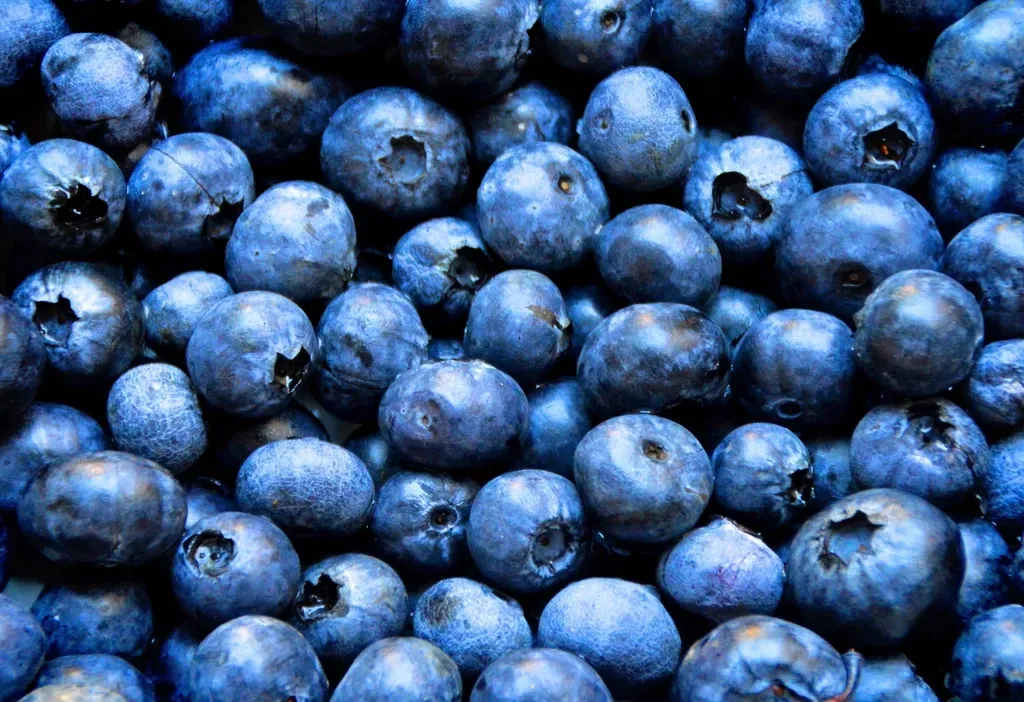 10 brain-boosting foods that support memory and focus