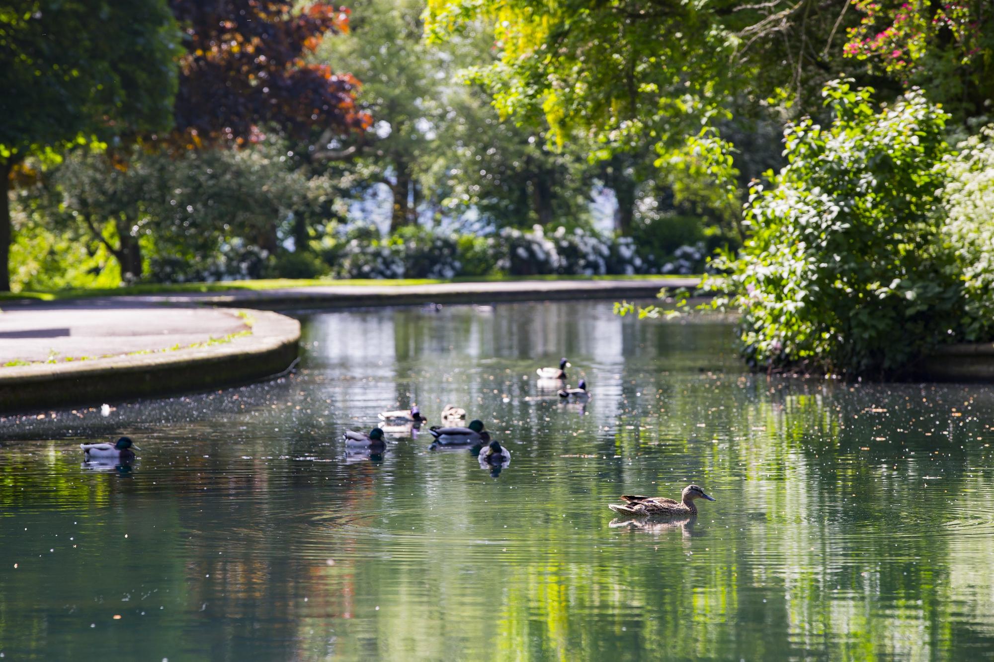 Green flags awarded to Dewsbury, Batley and Birstall parks