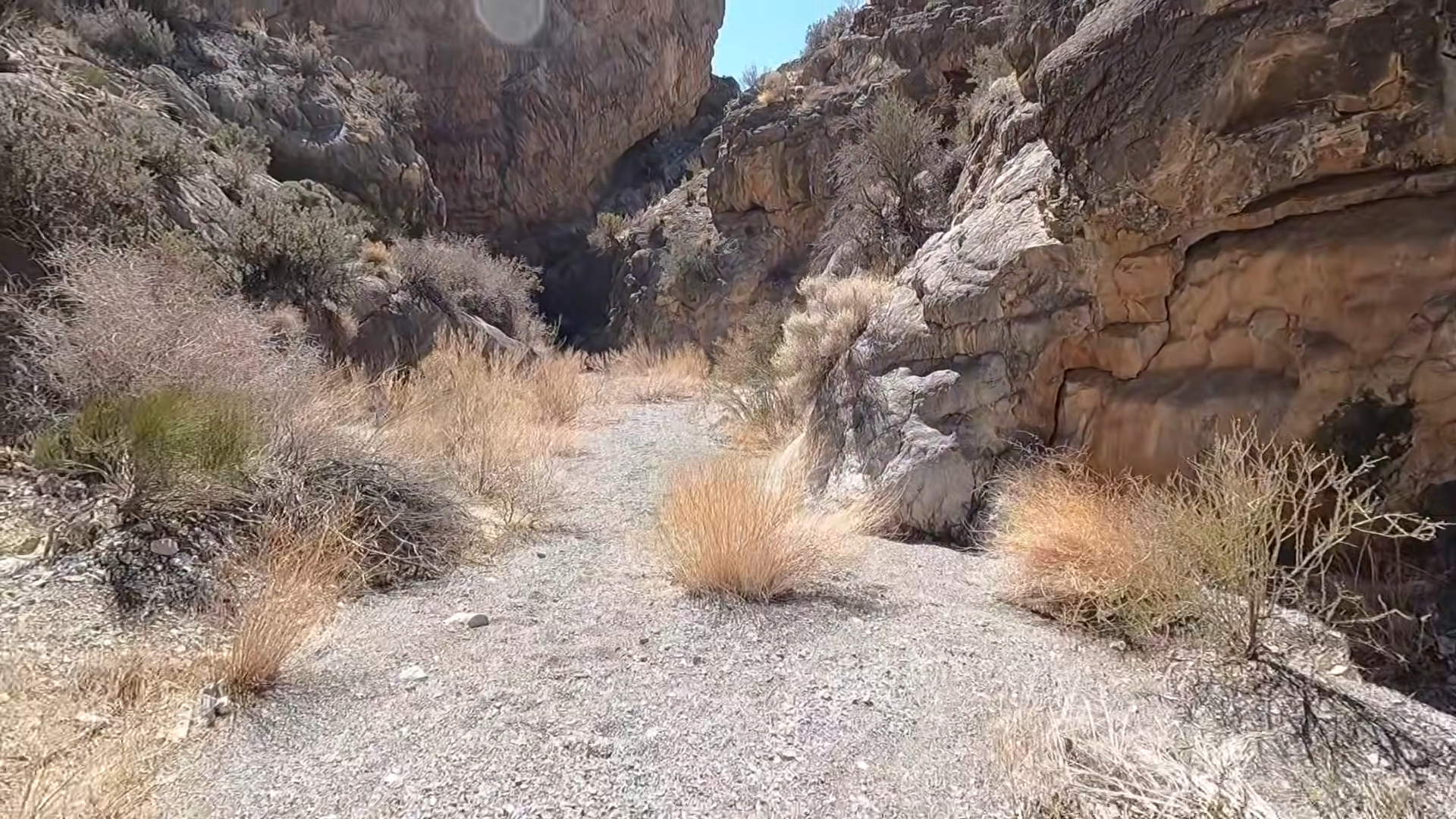 An explorer spent 10 hours searching for the legendary 