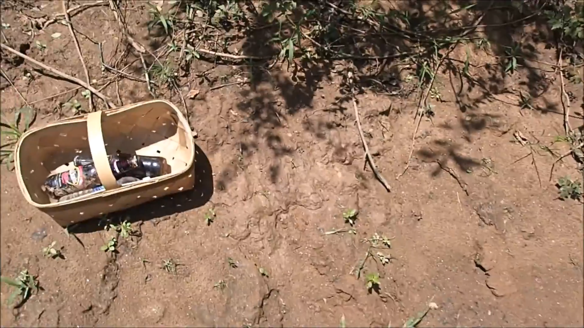 I found a mysterious rib bone and abandoned shoes, it looked like a ...