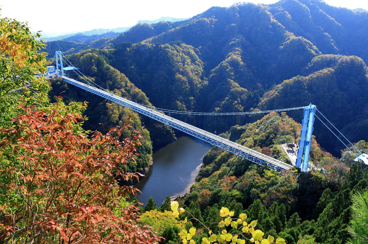 Suspension bridge over a forested valley with a river beneath