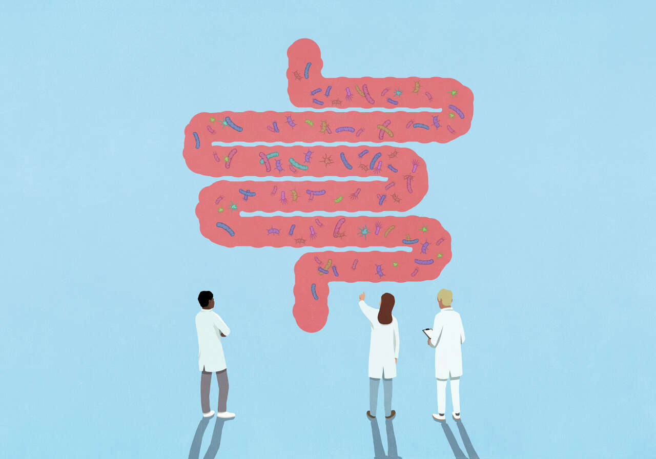 Why everyone is talking about gut health, according to Connecticut doctors