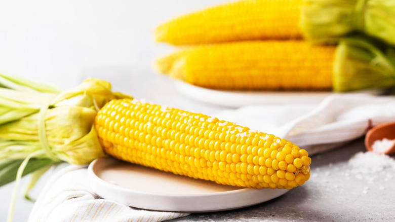 The Water Mistake You're Making That Causes Soggy Corn On The Cob