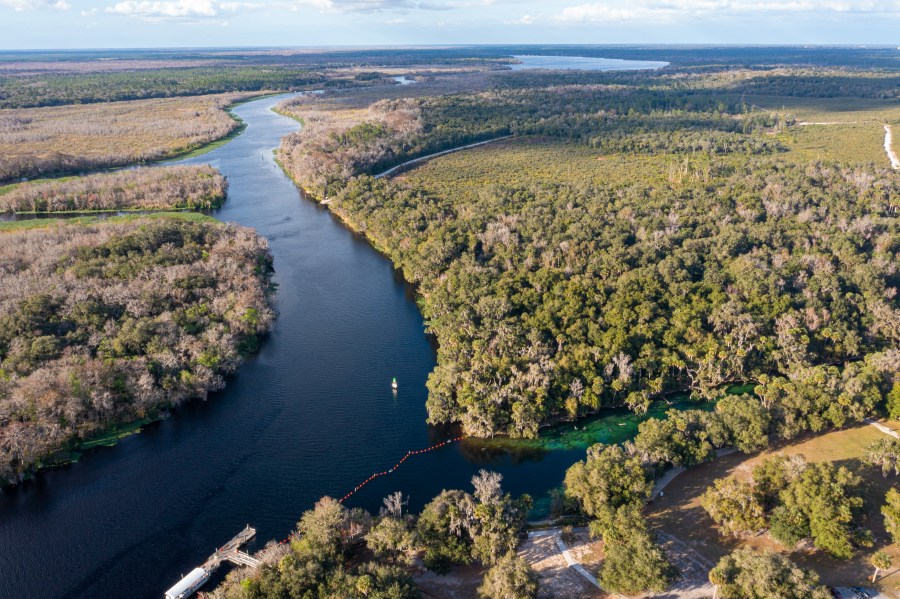 Florida mother dies saving 4-year-old son from river