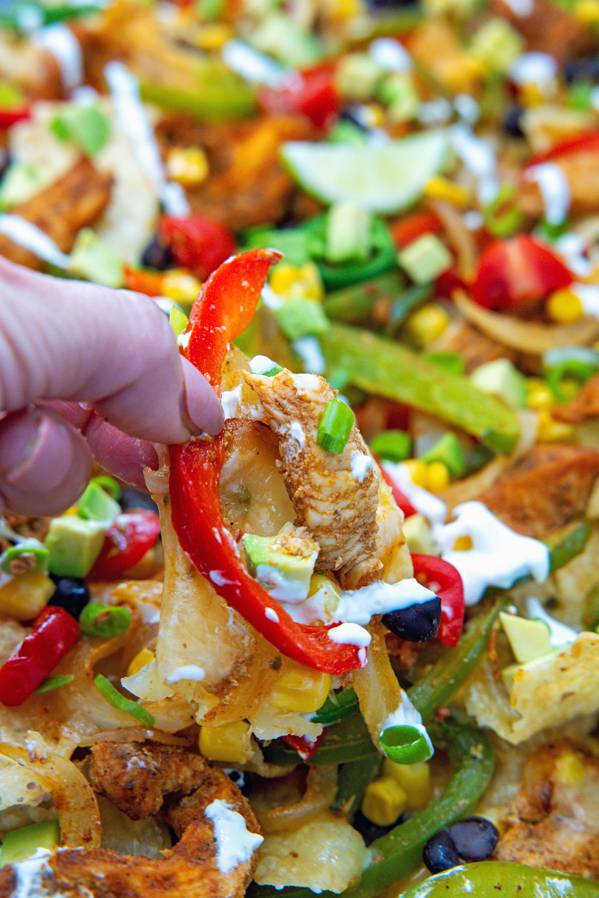 Hand holding up a fajita nacho with chicken, peppers, onions, and sour cream.