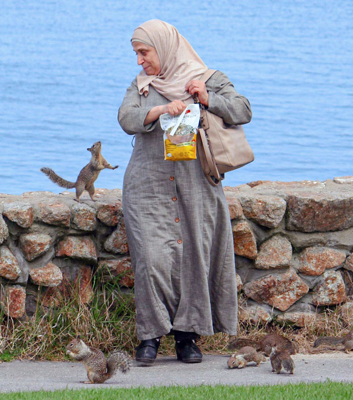 49 Pics That Show Countries Around The World Have Their Own Kinds Of “Pigeons”