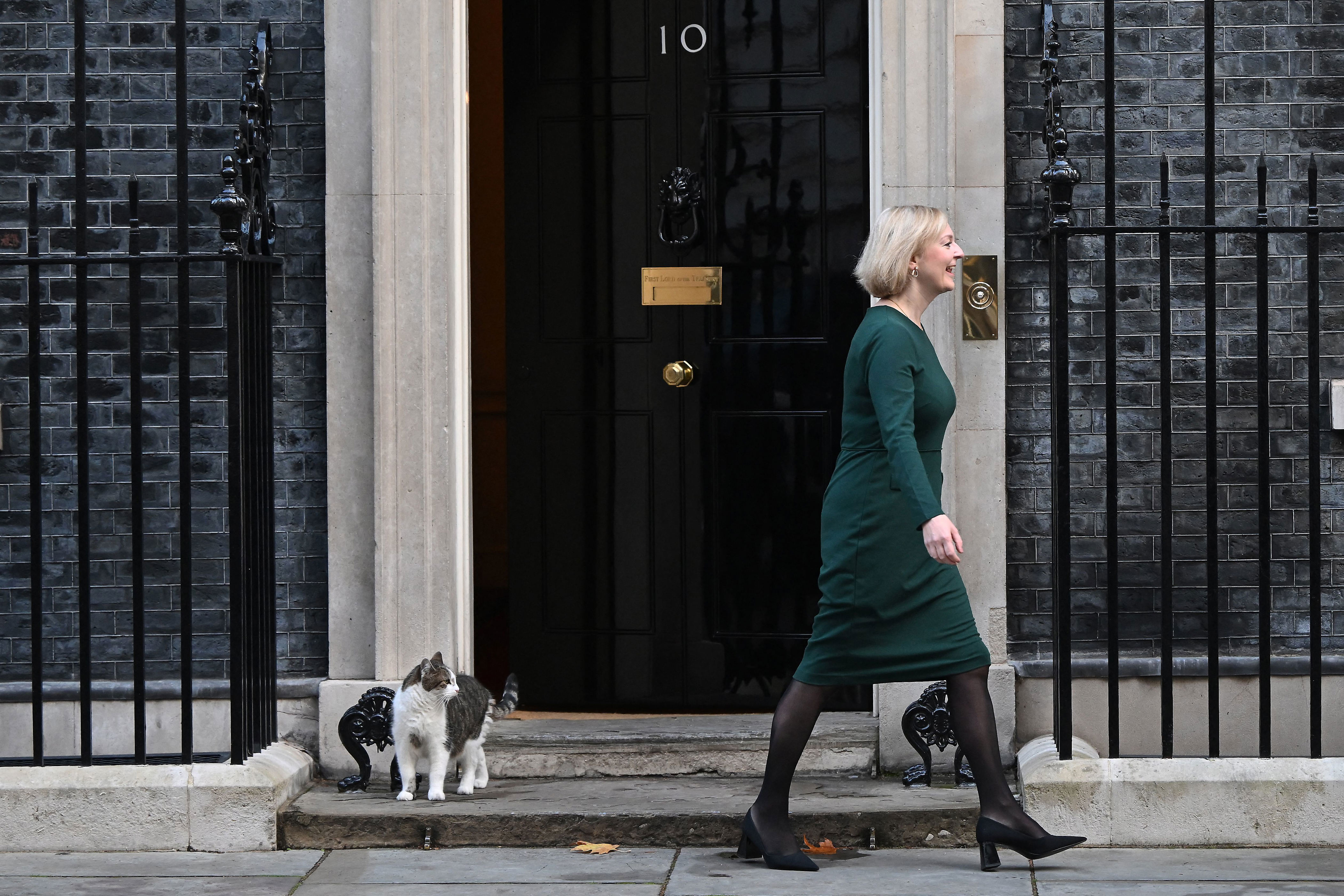 Larry the Number 10 cat looks on as Britain's Prime Minister Liz Truss comes out to greet Danish Prime Minister Mette Frederiksen outside 10 Downing Street in central London on October 1, 2022.