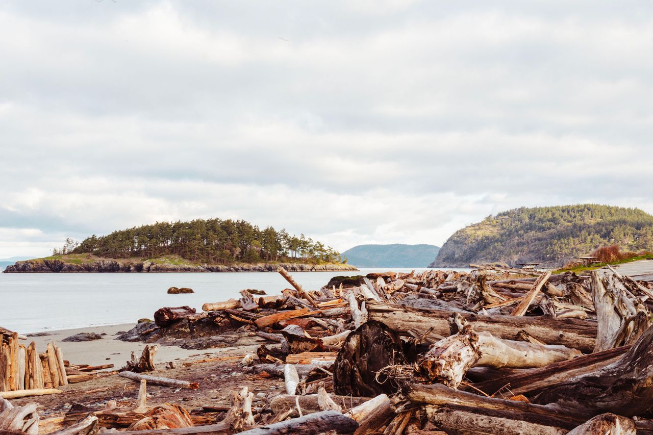 Coastal scene with driftwood along a shoreline and islands in the distance