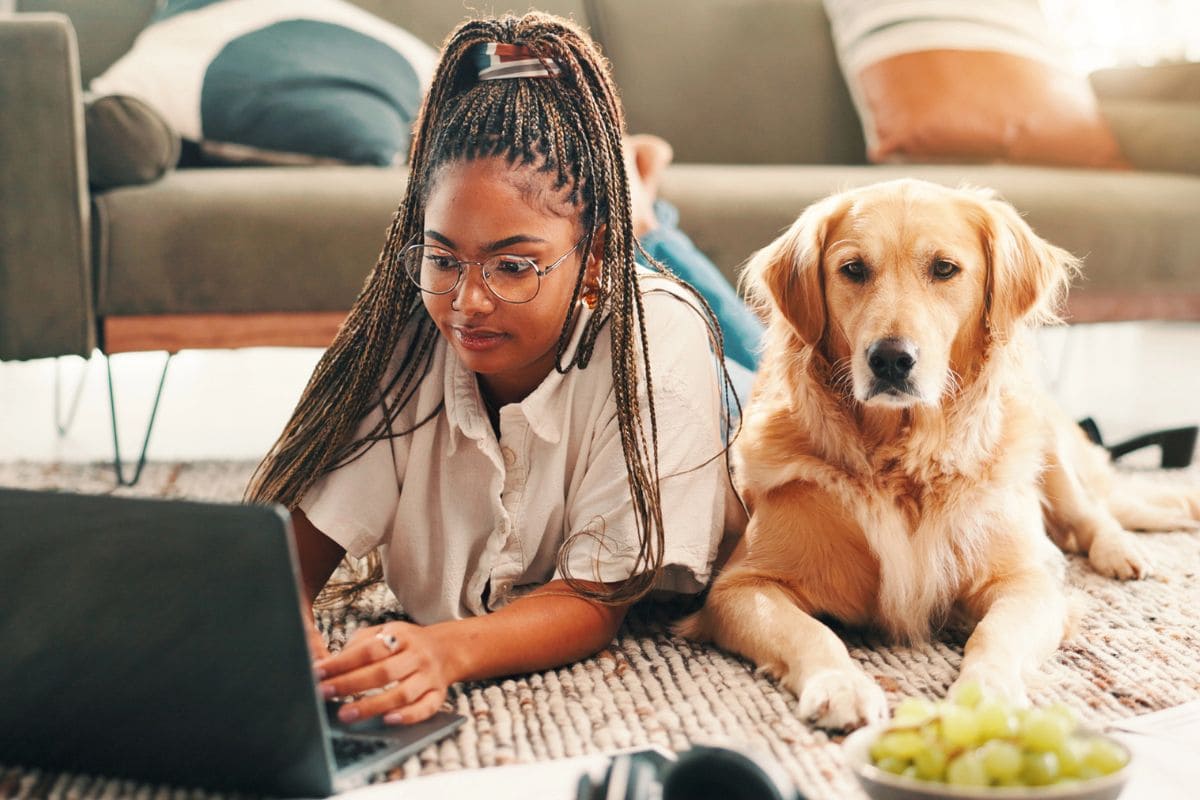 13 profitable pet businesses you can run from home