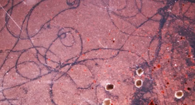 Scientists created the world’s first living robot
