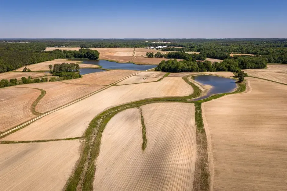 North Carolina (Image Credits: Pexels)