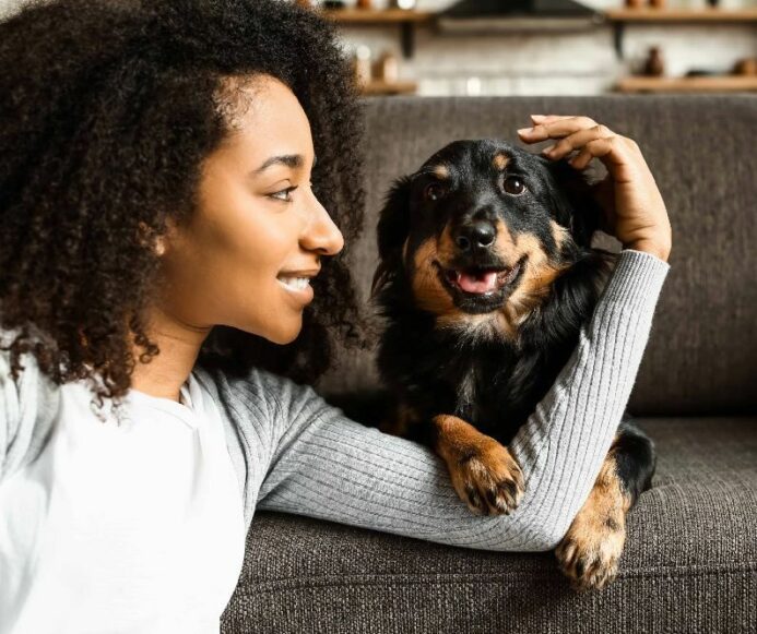 Why your Velcro dog steals your cozy spot (and how to reclaim it)