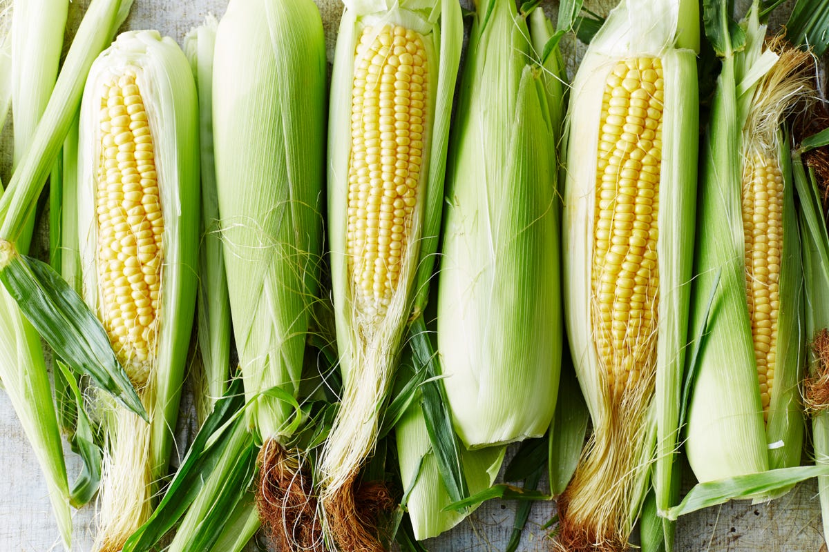 how-to-pick-sweet-corn