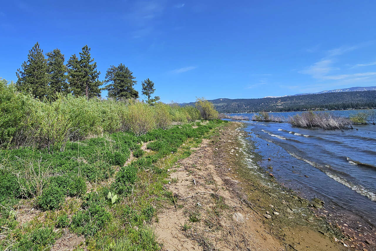 The $10M race to save a Calif. lake town's last undeveloped shoreline