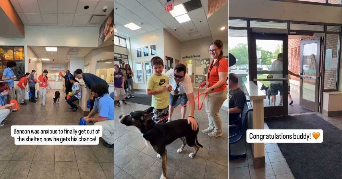 Shelter Dog Lived Anxiously Until a Loving Family Welcomed Him With Open Arms
