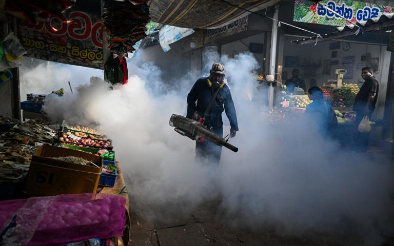 A municipal worker fumigates a market area during a dengue prevention campaign in Colombo, Sri Lanka - ISHARA S. KODIKARA/AFP via Getty Images