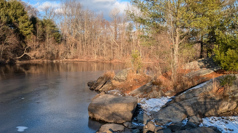 A small pond surrounded by rocks and trees in Callahan State Park.
