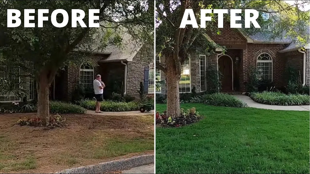 Grow grass in the shade Shade Savant grass seed
