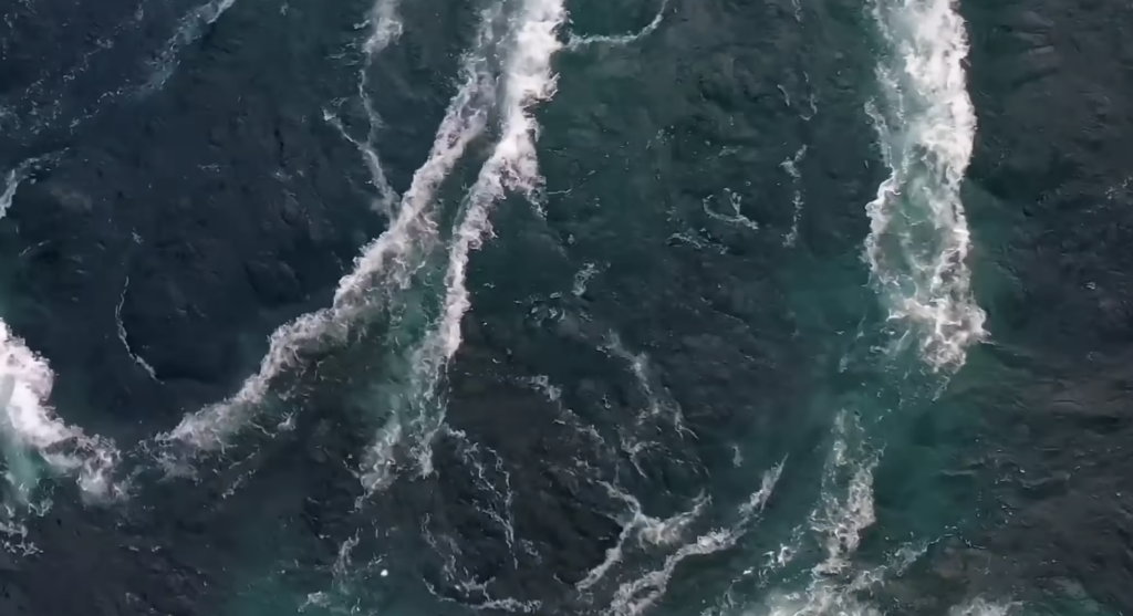 An Alien Ocean World Could Be Closer Than We Think