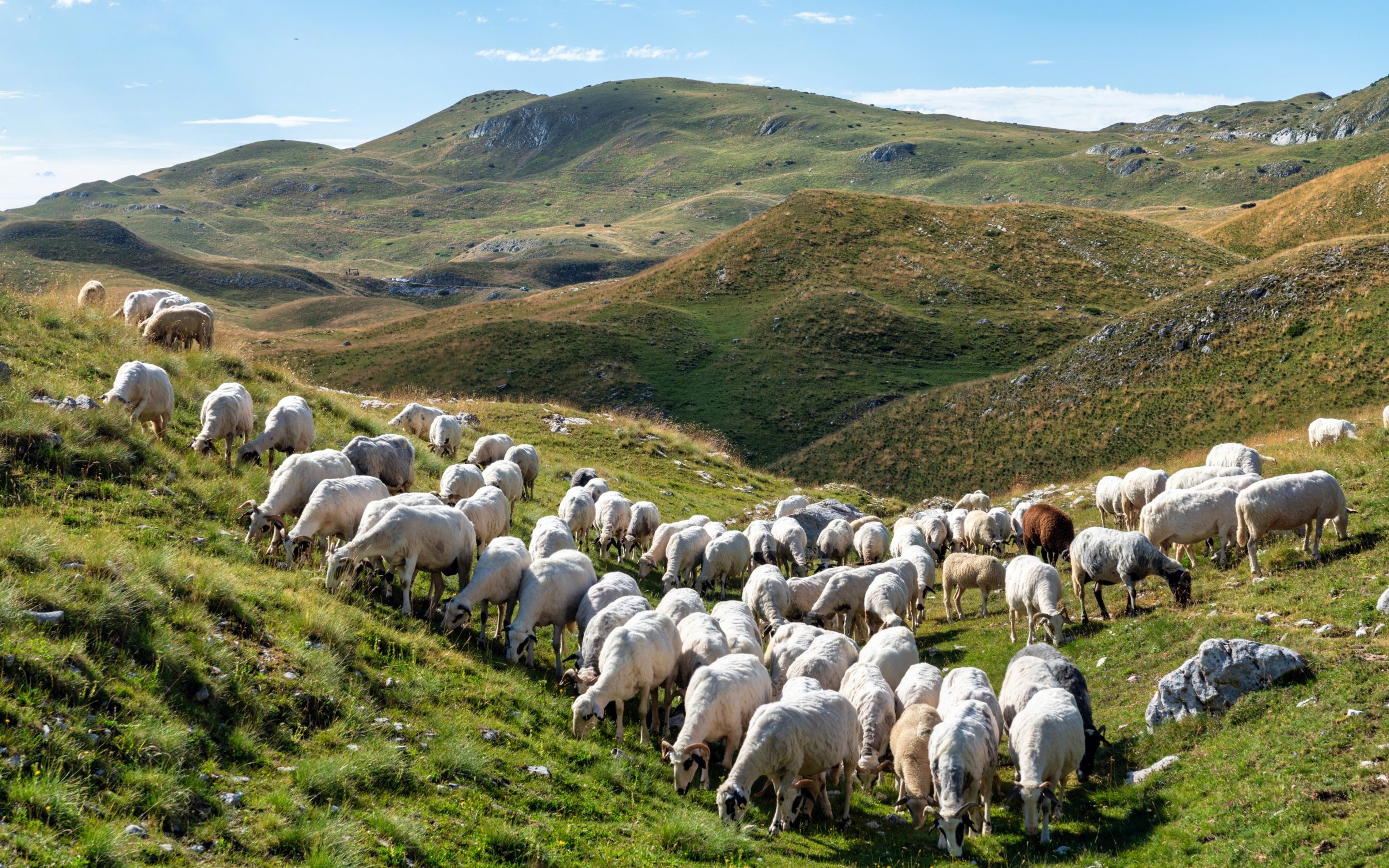 Durmitor National Park