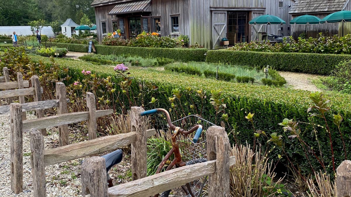beach-plum-farm