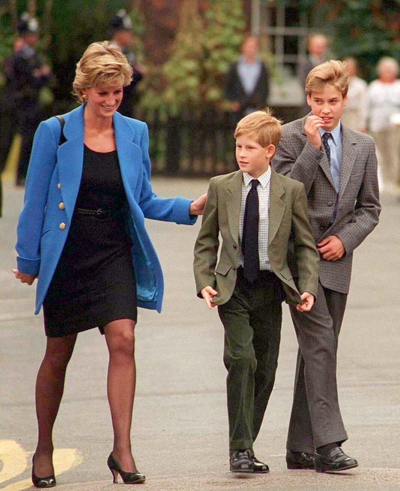 Princess Diana, Prince Harry, and Prince William in September 1995.