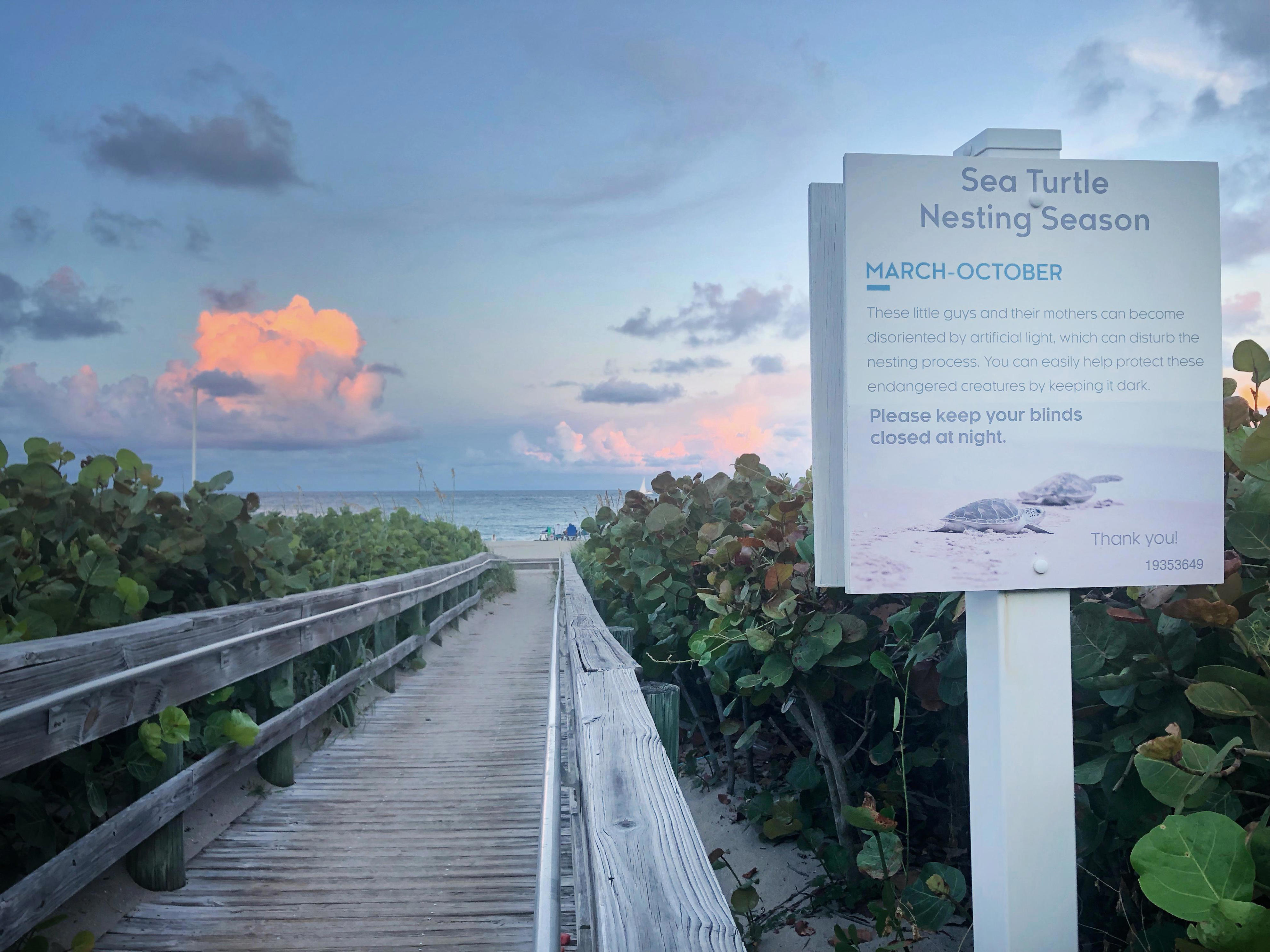 A wooden boardwalk stretches through tropical plants to a white sand beach and ocean beyond, with a sign reading “Sea turtle nesting season.”