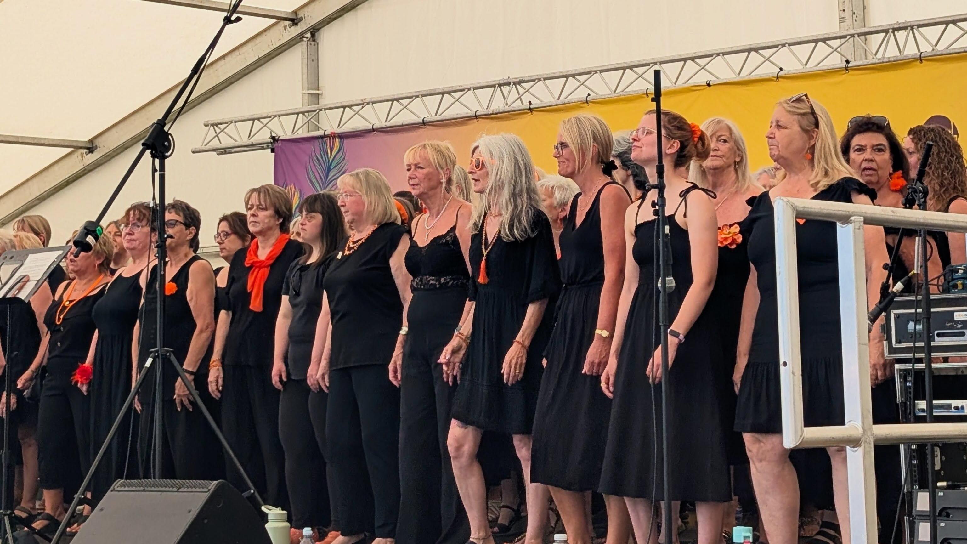 The festival drew visitors from across the south coast