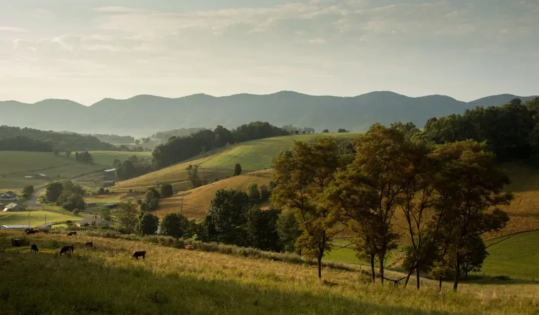 Virginia (Image Credits: Unsplash)