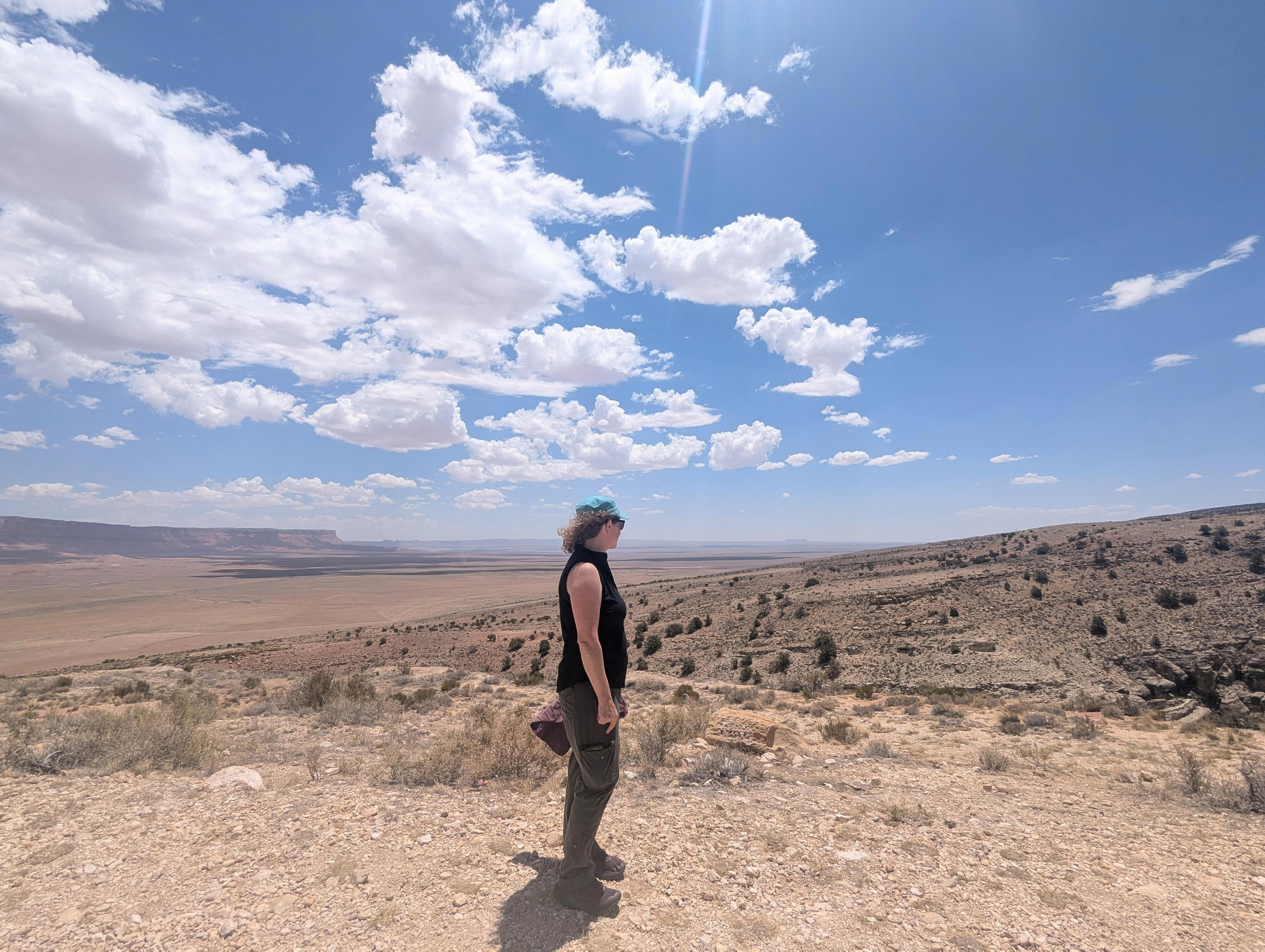 The Kaibab Plateau rolls gently upwards from sagebrush desert in the House Rock valley, away from the Vermillion Cliffs (left), until it ends abruptly at the Grand Canyon North Rim. The eastern face of the plateau is the only place where the Paradine plains cactus grows.