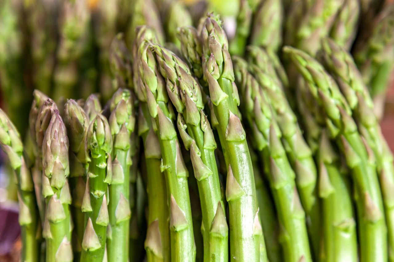 A collection of asparagus spears arranged closely together