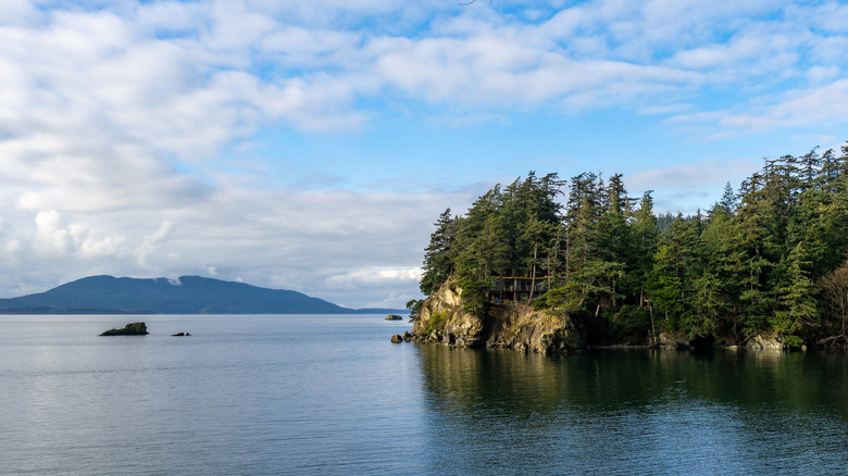 Evergreens top a rocky peninsula on a sunny day in Larrabee State Park, Washington State