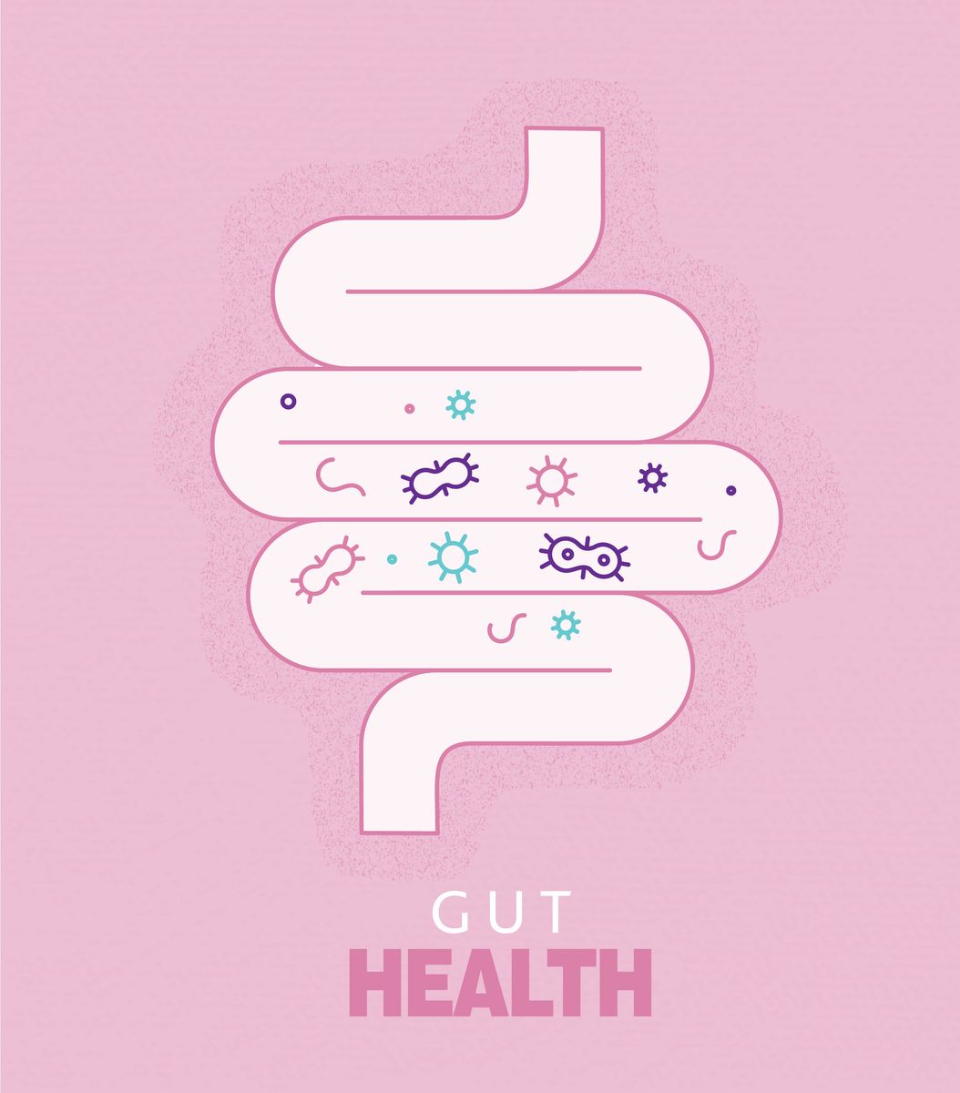 Why Yogurt Is One of the Best Foods for Building Muscle, Supporting Gut Health, and Boosting Your Mood