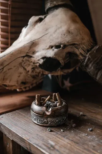 2. Ashtrays in Every Room and Smoking at the Dinner Table (Image Credits: Pexels)
