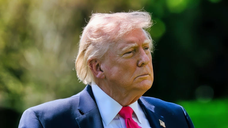 Democrats just delivered a masterclass to Donald Trump as a painful ...