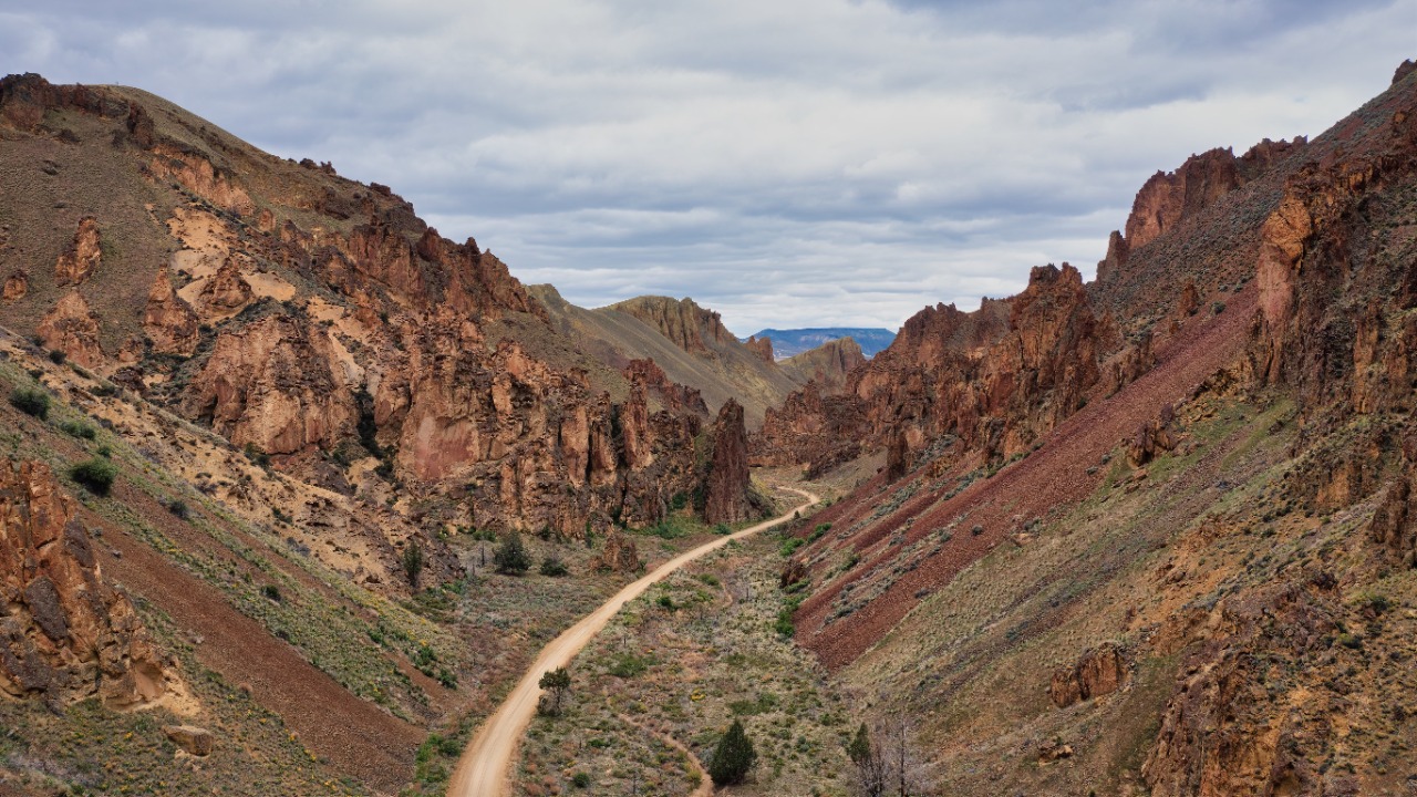 Valley fever is jumping past the Southwest into Oregon and Washington