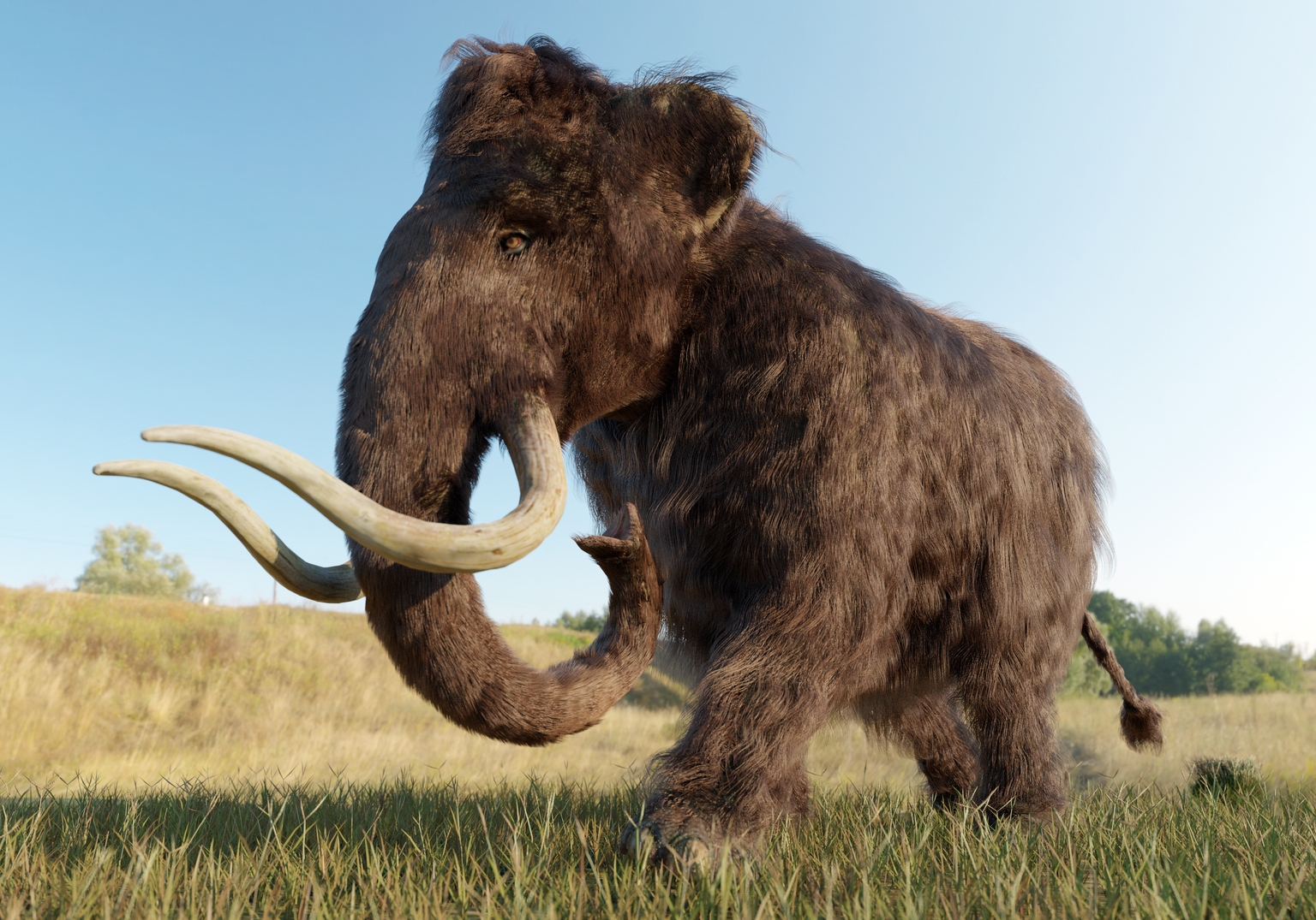 De-extinction startup Colossal discussing fundraising at valuation of $20B or more: report
