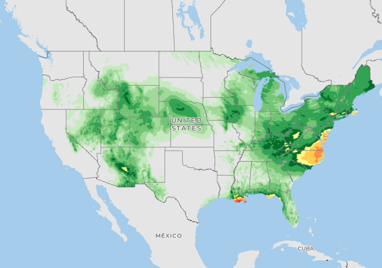 A forecast map from the National Centers for Environmental Prediction showing where heavy rain is expected across the United States on July 20, 2026.