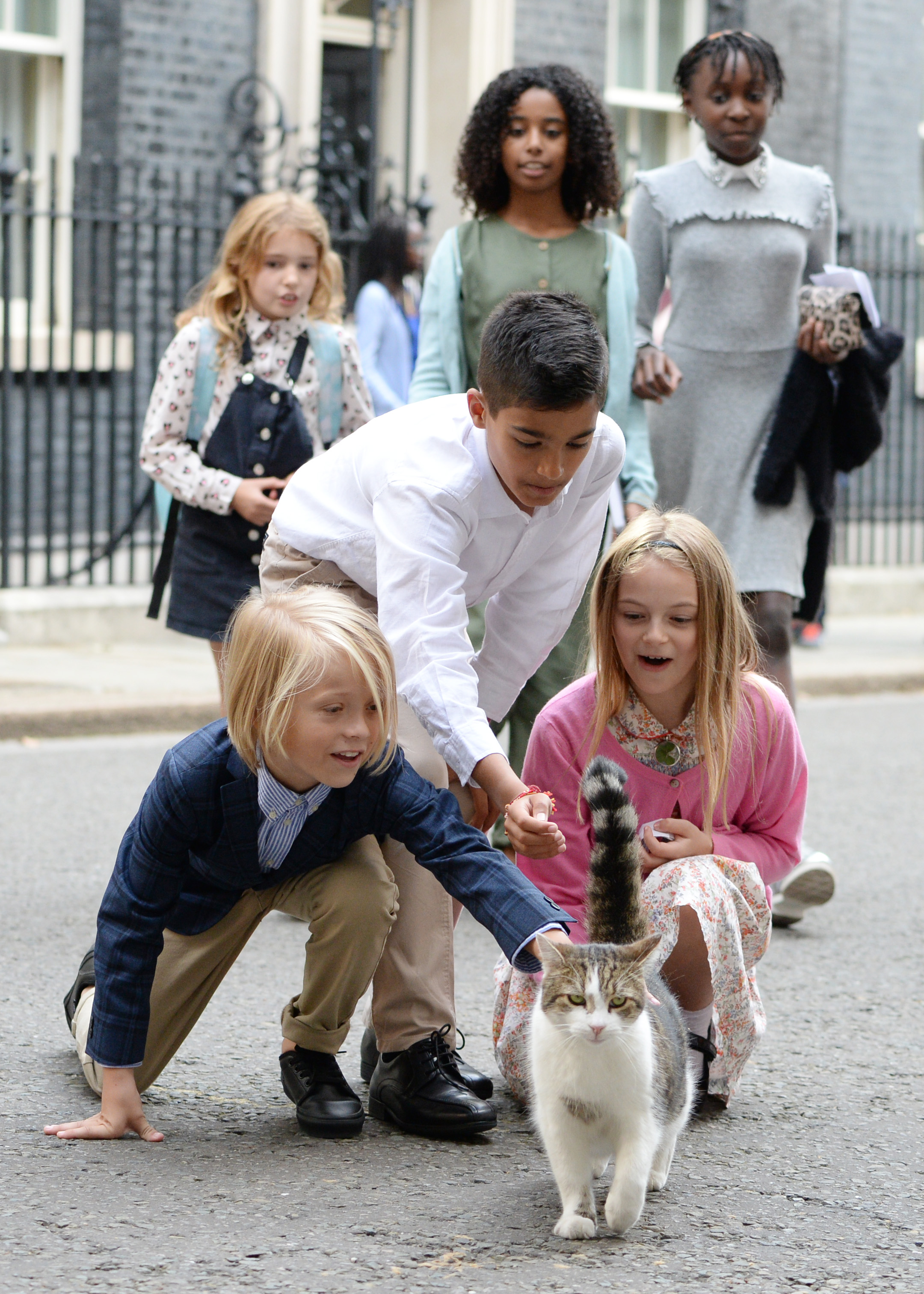 Kids gather to pet a cat.